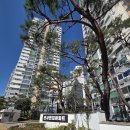 시기현대아파트 | 강동구 암사동, 선사현대아파트 임장 후기(2편)