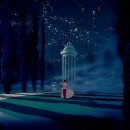 (주)신데렐라컴퍼니 이미지