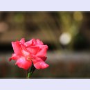 곡성-020 이미지