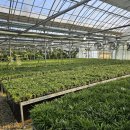 조성호농장 이미지