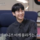 해이니즈 어깨 올라가는 소리♥️ 이미지