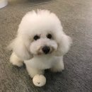 지기