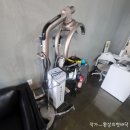 래빗맨즈헤어