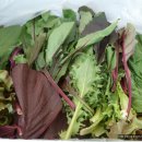 하도문쌈채마을 이미지