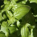 소일농장 이미지