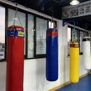 BEST복싱다이어트 이미지