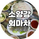 회마차 | [서울한남동] 3시간 웨이팅 후 들어간 ‘소양강회마차’ 후기(모듬회,생새우회,통오징어찜)_내돈내산