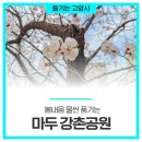 강촌 근린공원 이미지