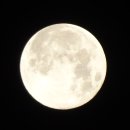 갤러리순 이미지