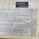 팬더한우소머리곰탕 이미지