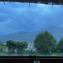 섬진강 찔레꽃 언덕 이미지