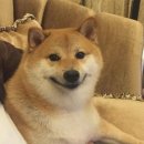 이프 편의점 이미지