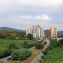 덕산로, 풍초로 네이버블로그