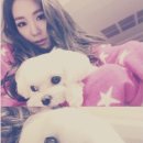 티파니&펫 이미지