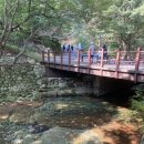 옥과면 황산2구 마을회관 | 6살,8살 아이들과 등산하기 계룡산국립공원 동학사1코스 관음봉/Hiking6