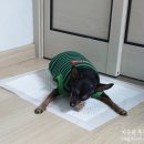 제일숯불왕갈비 이미지