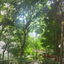 뉴포레부동산공인중개사사무소 이미지