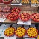 청송청과 이미지