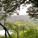 NO25 용인터미널점 | 호암 미술관 전시 루이즈 부르주아 마망, 희원 : 용인 호암미술관 예매 입장료 할인 셔틀버스