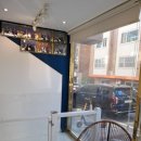 제일애견 이미지