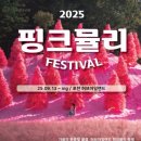 드림허브 | 실시간 후기] ‘포천 허브아일랜드’ 보정 하나도 없는 사진으로 찐후기+ 포토스팟 말아드림!