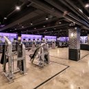 스파리스 휘트니스 이미지