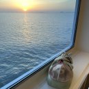 다인동물약국 | 퀸제누비아2 펫코노미 예약 및 후기, 강아지동반배 타고 제주살이 마무리