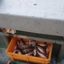 포항시남구장기면양포보건진료소 이미지