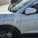 스마일 버블 세차장 이미지