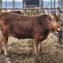 고창 청춘한우개량연구소 이미지