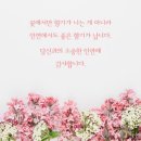 공사모♡식구님들께 올리는 좋은글 이미지