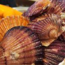 남당항로 이미지