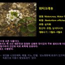 워트크레숑 이미지