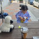 신관유치원 | 육아일기) 안산단원병원 입원기록_임파선염으로 급작스러운 입원+단원병원 입원후기