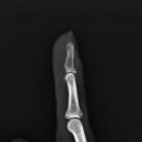 수원-0780 이미지