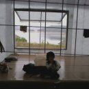 한양대 청강태권도 이미지