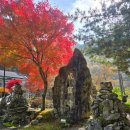 산전리 | 가을단풍 절정, 경산 성굴사 맥반석동굴법당의 고요함