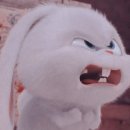 하우스 TALK 이미지