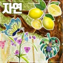 비끄아트연구소