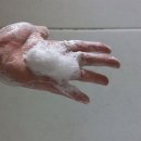 한올두피탈모 | 출산 후 탈모 고민, 봄비유 한올 맥주효모 탈모완화 샴푸 사용 후기