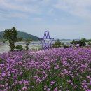 버들풍경카페
