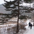 고인돌 Daum카페
