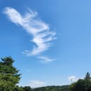 라미블라인드