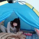 정이품민박 이미지