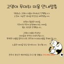 멍발소 이미지