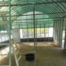 보아농장 이미지