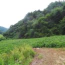 원통초 신덕분교장 이미지