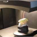 다음치과기공소 이미지