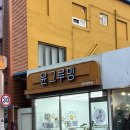코코 반려견미용실 | 양구 애견미용실 윤그루밍