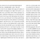 김양수「매미」 이미지